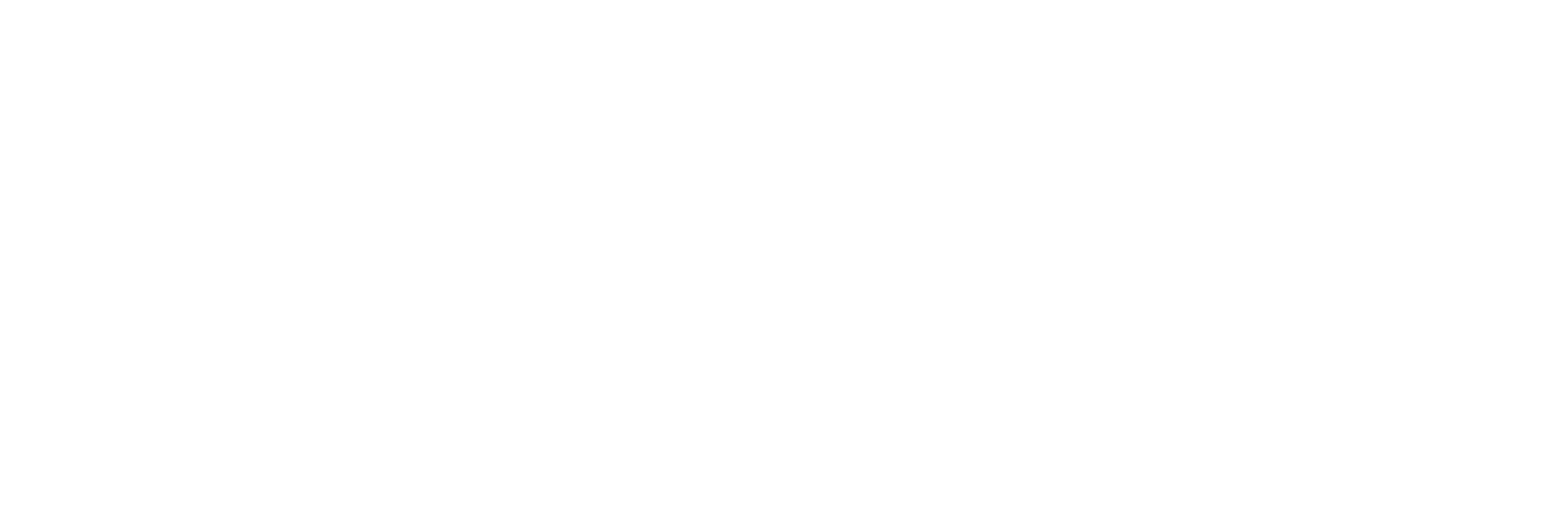 GoZayaan